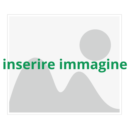 inserire immagine
